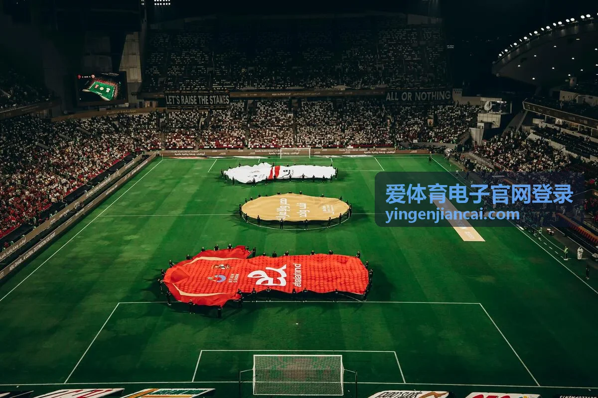 爱体育电子官网登录会员服务栏目封面：等级权益对应说明